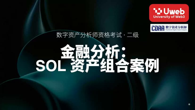 19. 金融分析: SOL 资产组合案例